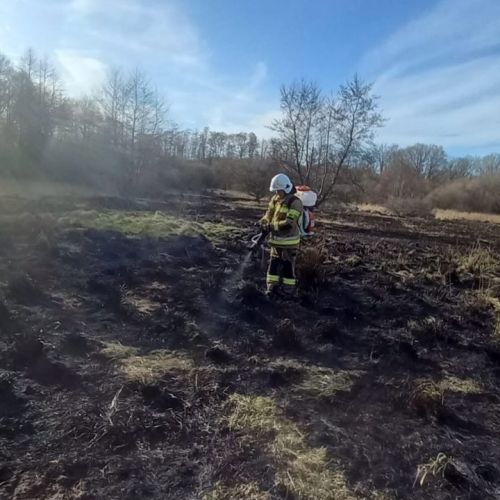 Pożar nieużytków w Smolęcinie oraz Gryficach