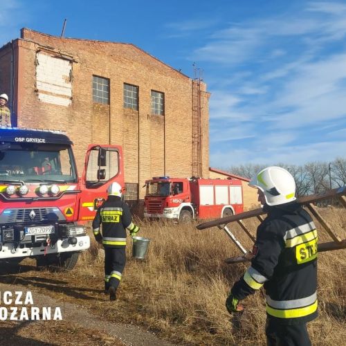Pożar nieużytków w Smolęcinie oraz Gryficach